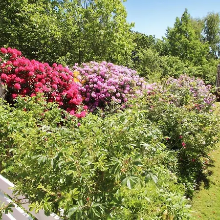 Pet Friendly In Samso With Wifi Holiday home Nordby (Midtjylland)